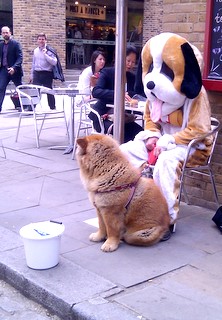 Tiggere findes i mange former og farver